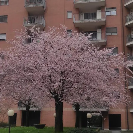 Elemi House-3
